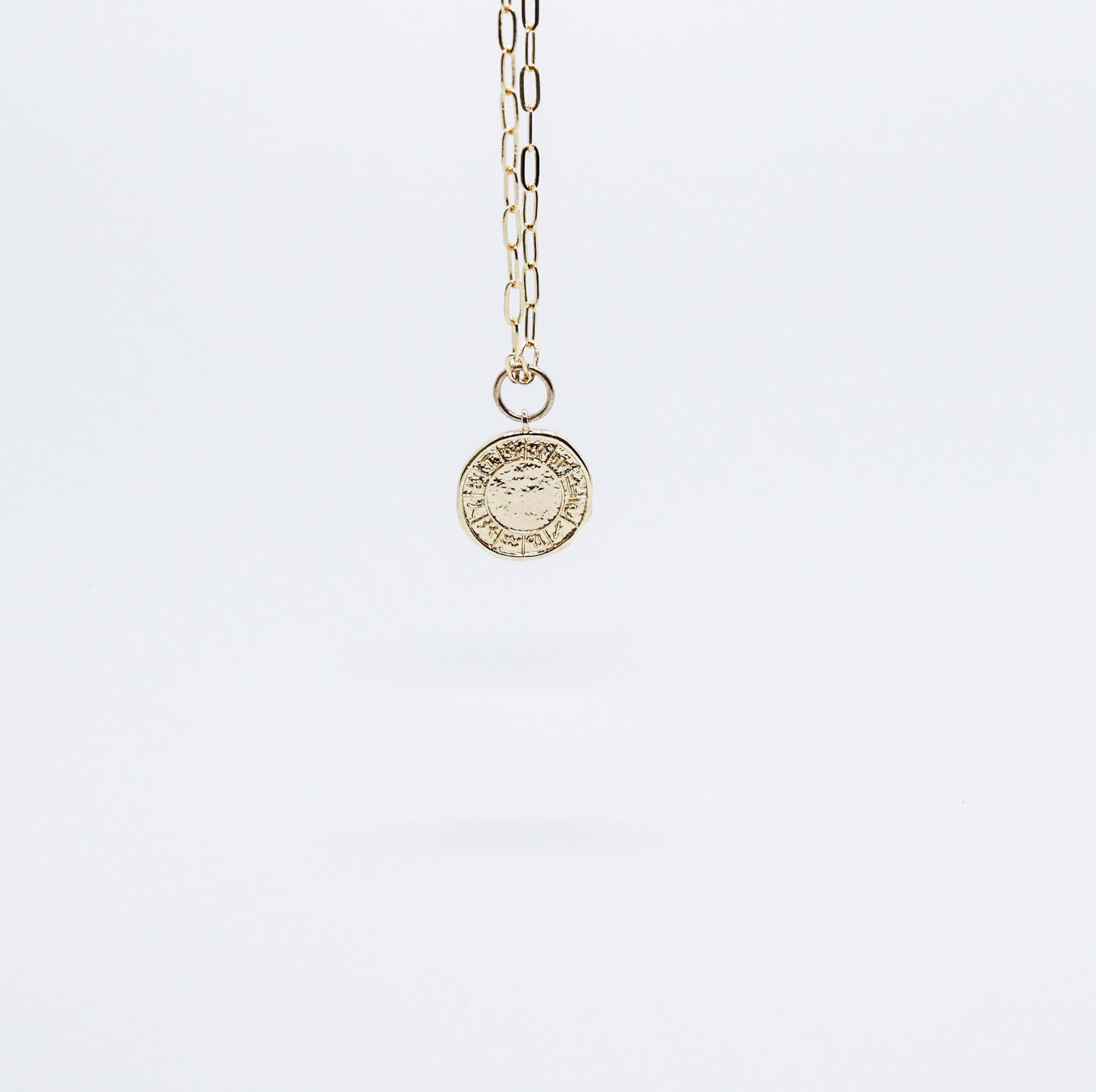 PaperClip Horoscope Medallion Necklace