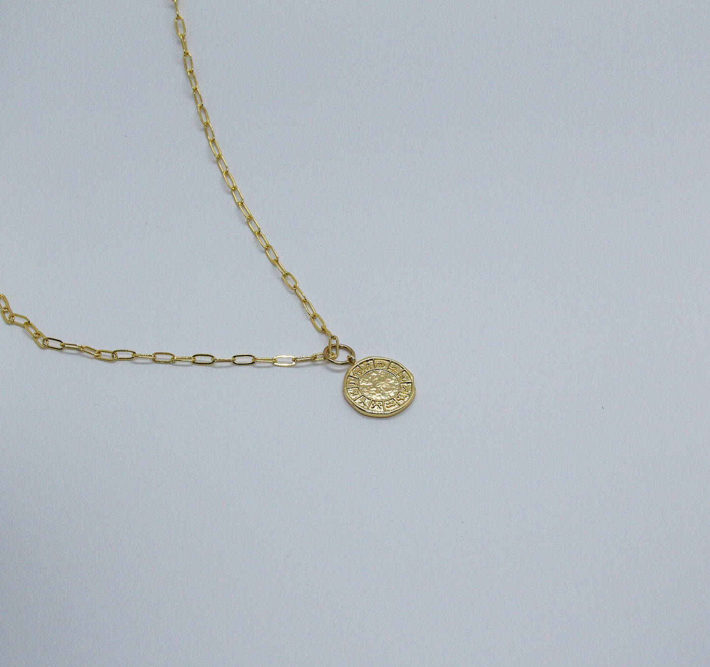 PaperClip Horoscope Medallion Necklace